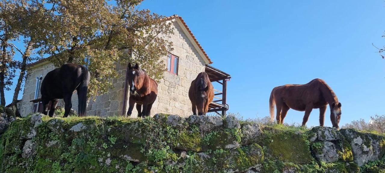 Апартаменты Quinta Da Adarnela Lagares da Beira Экстерьер фото